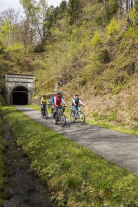 Bild vergr��ern: �ffnung Fledermaustunnel