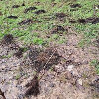 Bild vergr��ern: Vandalismus in Heggen